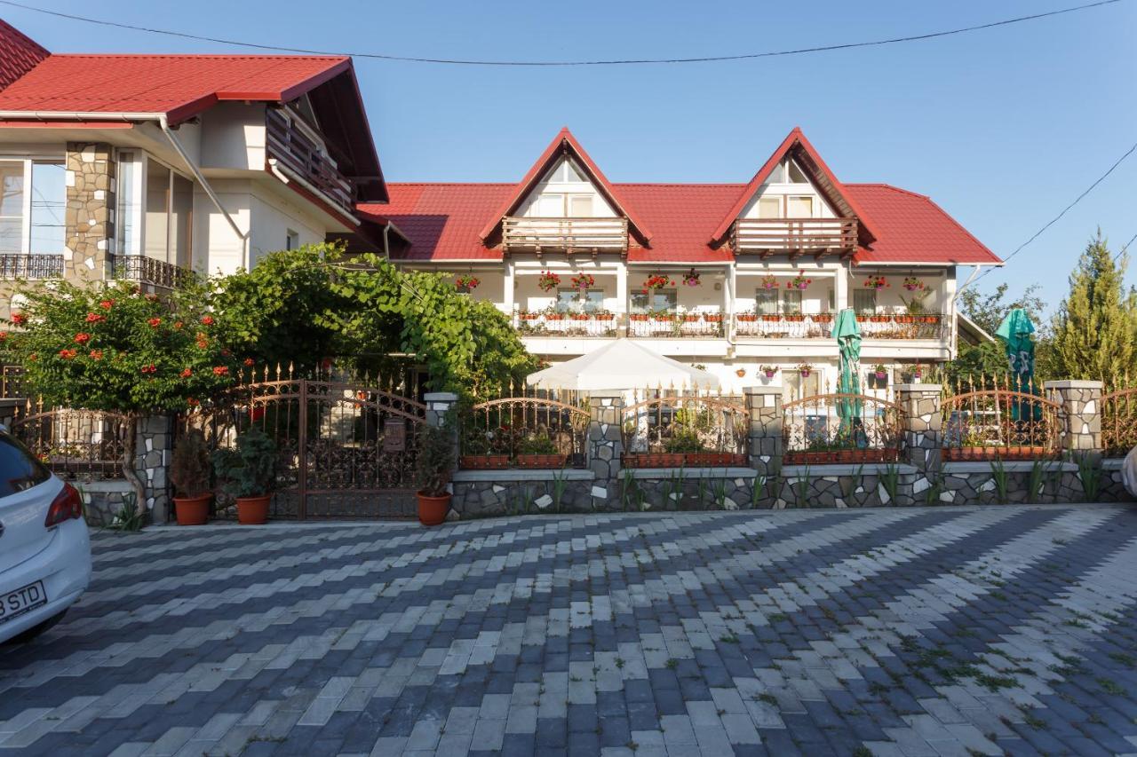 Pensiunea Adriana Costinesti Exterior photo